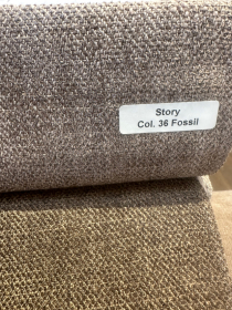 Story 36 Fossil