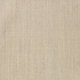 Natural Beige 301
