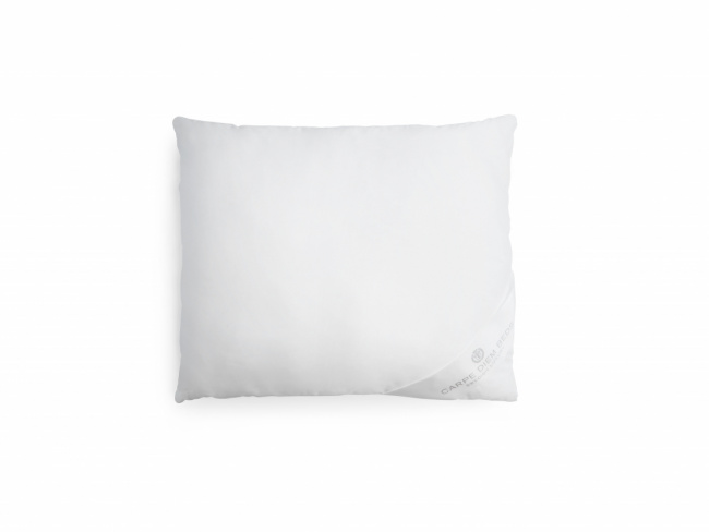 Carpe Diem Beds Pillow Mulberry Silk