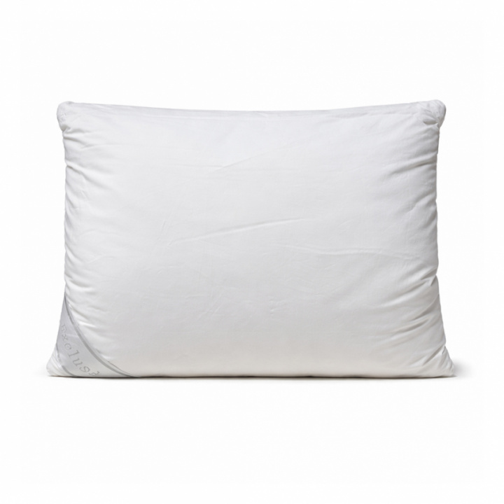 Silkpude 50x60 cm i gruppen Puder / Puder / Størrelse / Pude 50x60 cm hos Sängvaruhuset Elgen (40-1-3Akudde)