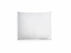 Carpe Diem Beds Down Pillow