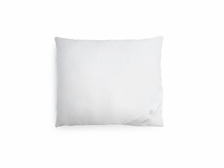 Carpe Diem Beds Pillow