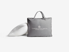 Carpe Diem Beds Down Pillow