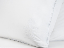 Carpe Diem Beds Down Pillow