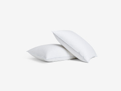 Carpe Diem Beds Down Pillow
