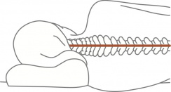 Tempur Sleep Pillow ErgoPlus (Millennium)